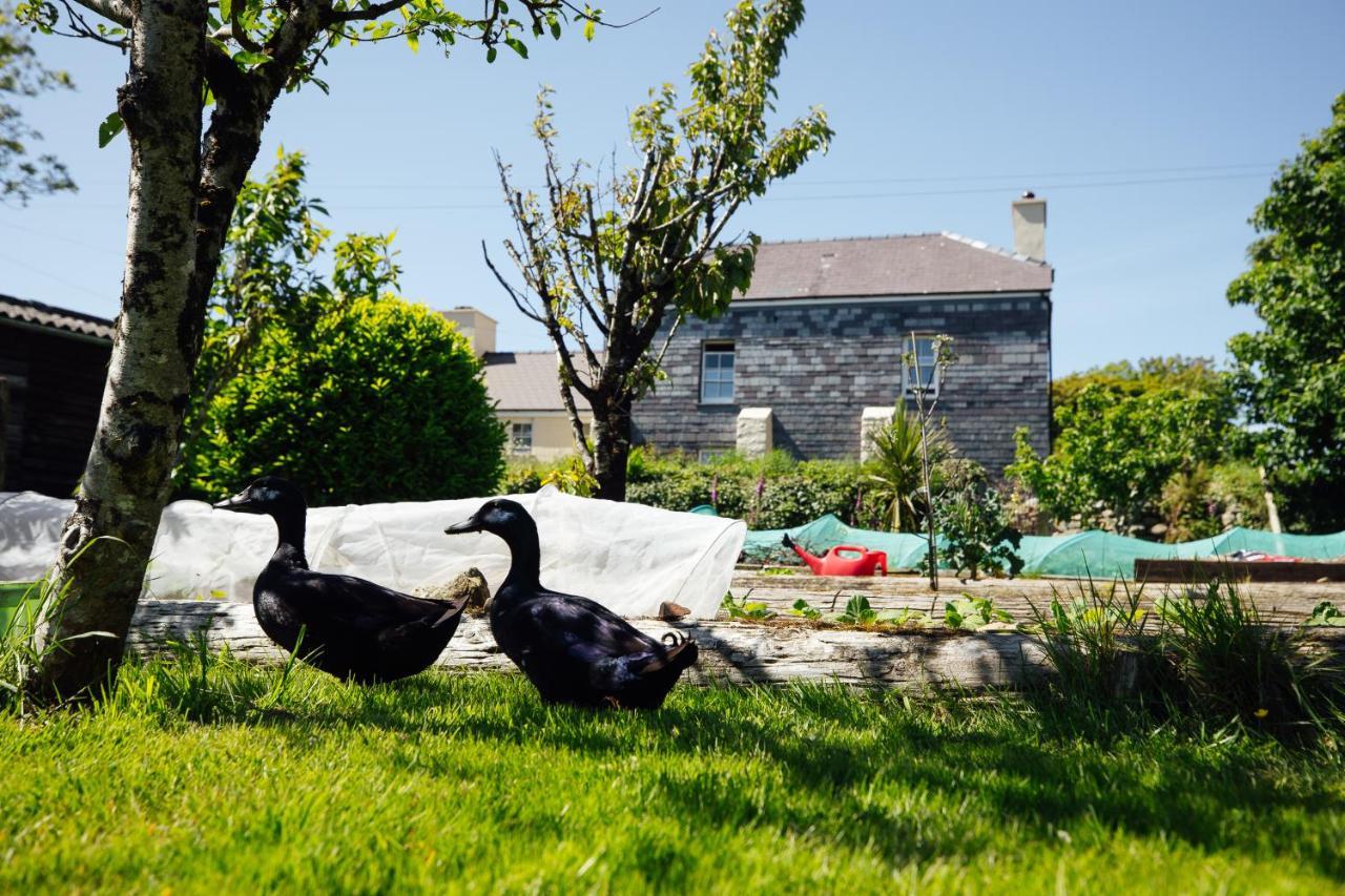 Penrhiw Farm B & B Goodwick Εξωτερικό φωτογραφία